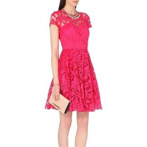 Ted Baker 'Caree' Sheer Lace Overlay Dress BNWT